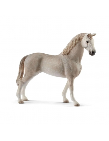 Miniature horse Holsteiner male (Holsteiner stallion)