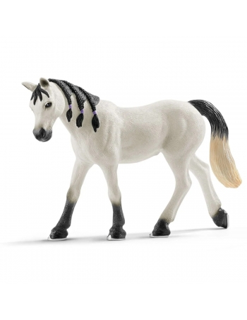 Arabian mare