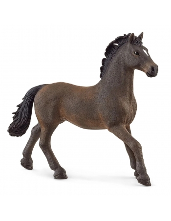 Oldenburger Stallion