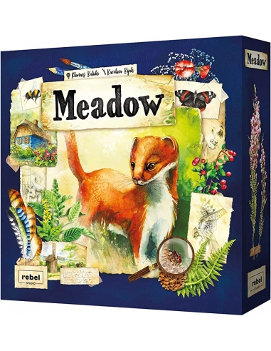 Meadow