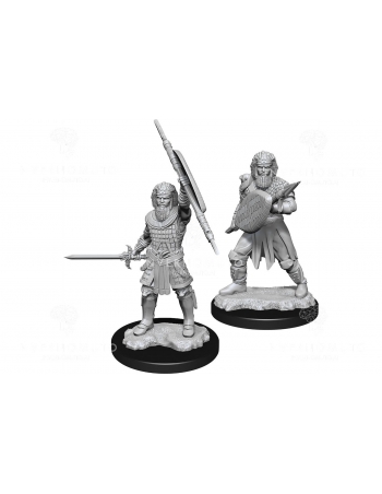 D&D Nolzur's Marvelous Miniatures - Human Fighter Male 2