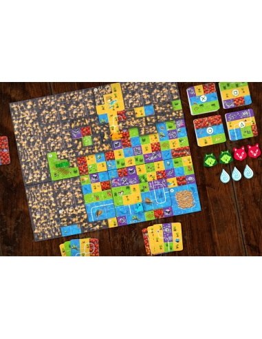 Race to the Raft Race to the Raft