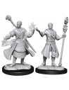 D&D Nolzur's Marvelous Miniatures - Half-Elf Wizard Male