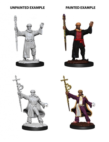 D&D Nolzur's Marvelous Miniatures - Human Wizard Male