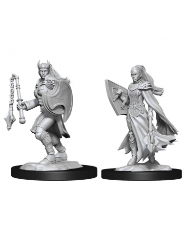 D&D Nolzur's Marvelous Miniatures - Kalashtar Cleric Female