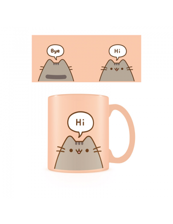 Pusheen says Hi and Bye...