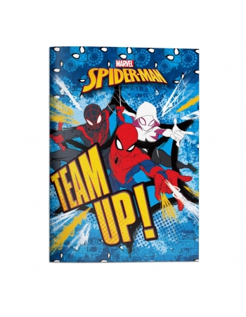 Σετ Ζωγραφικής Spider-Μan... 2