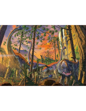 Puzzle 500pc Curious,... 2