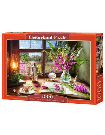 59672 Puzzle Castorland 1000 pièces-Still Life with violin and Painting 