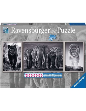 Ravensburger Challenge...