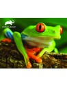 Puzzle 48pcs Animal Planet - Tree Frog