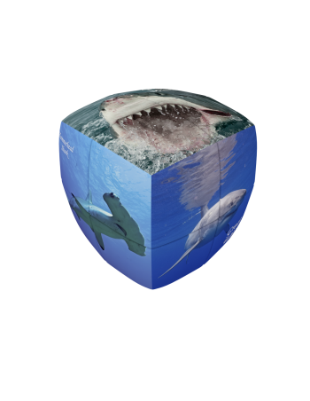 Sharks - V-CUBE 2 Pillow
