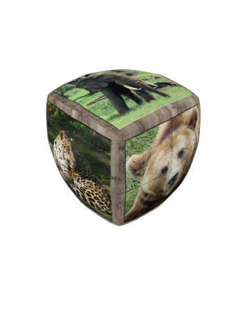 Wild Animals - V-CUBE 2 Pillow