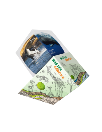 Whales - V-CUBE 3 Pillow 2