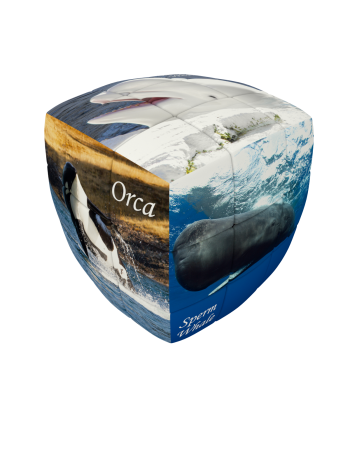 Whales - V-CUBE 3 Pillow