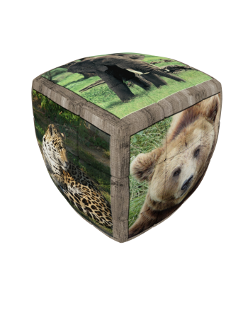 Wild Animals - V-CUBE 3 Pillow