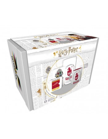 Harry Potter Gift Box Quidditch