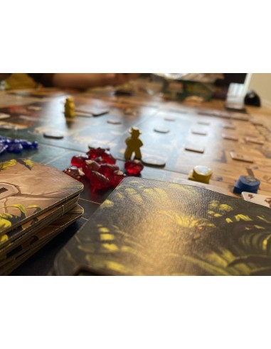 Lost Ruins of Arnak components