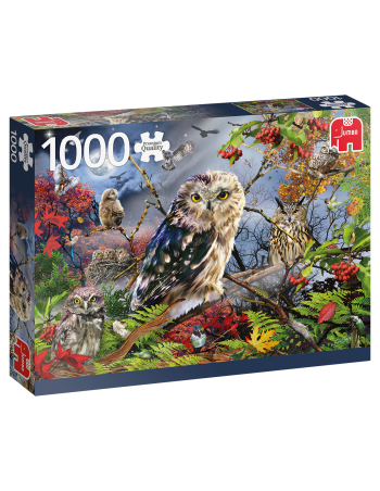 Puzzle 1000pcs Owls in the...