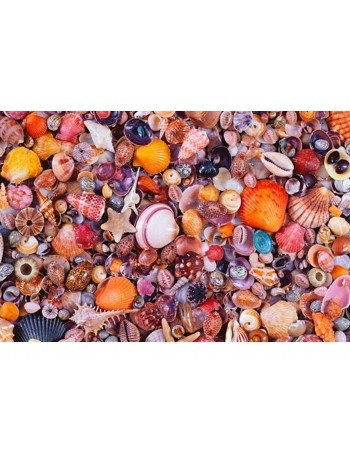 Puzzle 1000pcs -  Seashells