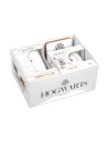 Harry Potter Gift Box Quidditch