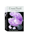 3D Puzzle Pearl Shell U-Clear
