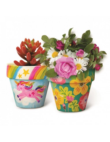 Paint your own terracota Flower Pots