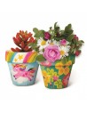 Paint your own terracota Flower Pots