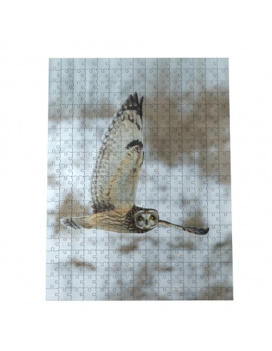 Φτιάξε το δικό σου παζλ - 300 κομμάτια