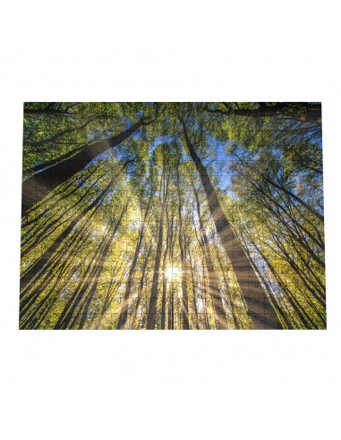 Φτιάξε το δικό σου παζλ - 300 κομμάτια