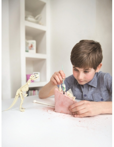 Stegosaurus excavation