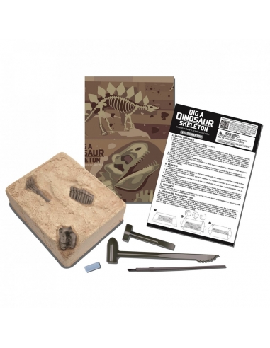 Stegosaurus excavation