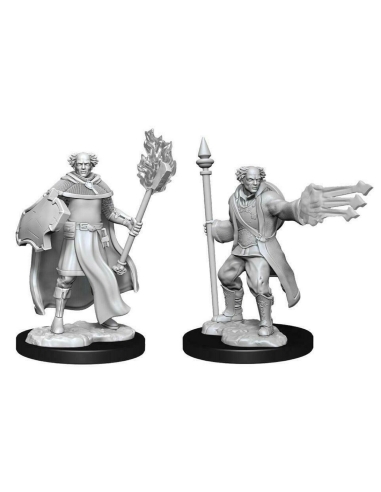 D&D Nolzur's Marvelous Miniatures - Multiclass Cleric + Wizard Male
