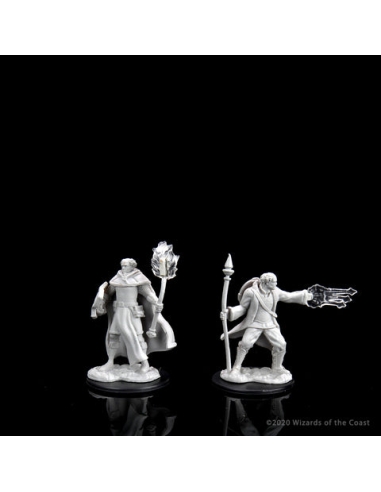 D&D Nolzur's Marvelous Miniatures - Multiclass Cleric + Wizard Male
