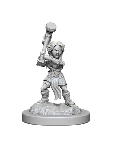 D&D NOLZUR'S MARVELOUS MINIATURES: HALFLING BARBARIANS