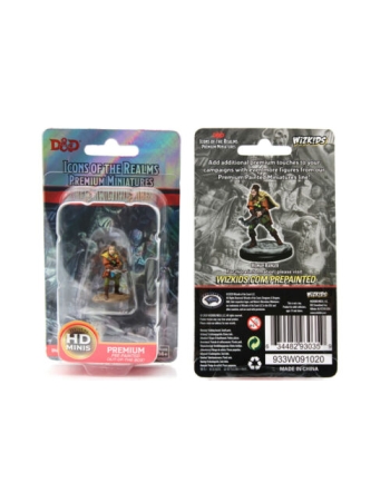 D&D ICONS OF THE REALMS PREMIUM FIGURES: HUMAN RANGER FEMALE 2