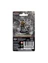 D&D ICONS OF THE REALMS PREMIUM FIGURES: HUMAN RANGER FEMALE