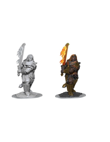D&D NOLZUR'S MARVELOUS MINIATURES: FIRE GIANT
