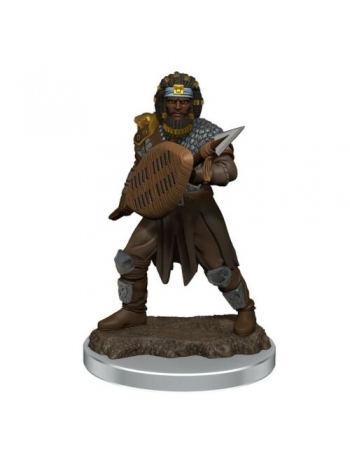 D&D Icons of the Realms Premium Figures: Male Human Fighter