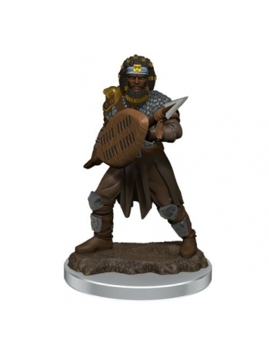 D&D Icons of the Realms Premium Figures: Male Human Fighter