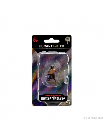 D&D Icons of the Realms Premium Figures: Male Human Fighter 2