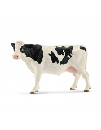 Holstein Cow