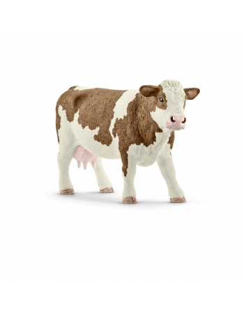 Simmental cow