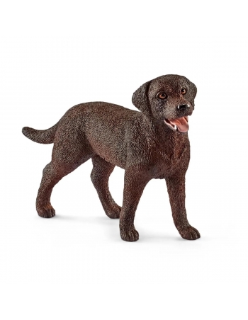 Labrador Retriever female