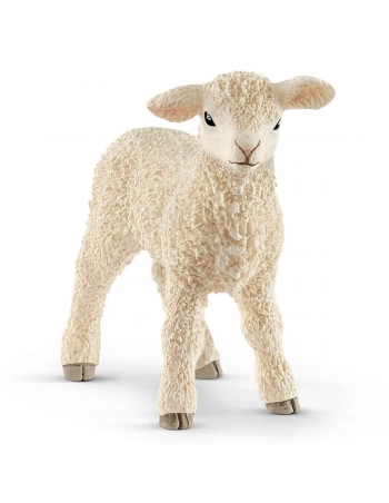 Lamb