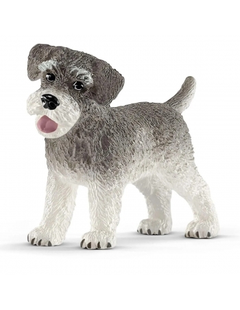 Miniature Schnauzer