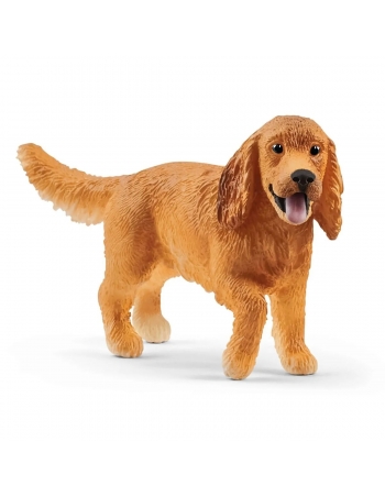 English Cocker Spaniel