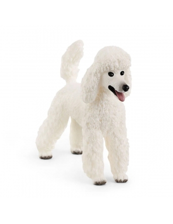 Σκύλος Poodle