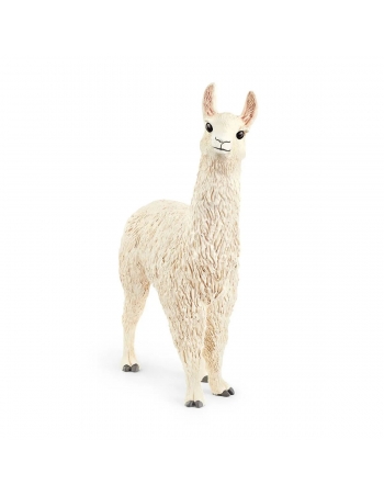 Llama