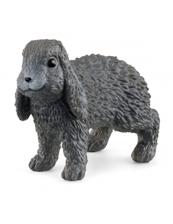 Lop-Eared Rabbit